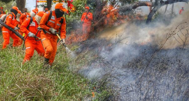 Maranhão receberá R$ 45 milhões do Fundo Amazônia dedicados ao combate de incêndios