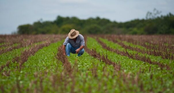 Produtores rurais possuem 60 dias para atualizar cadastro junto à Aged