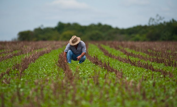 Produtores rurais possuem 60 dias para atualizar cadastro junto à Aged