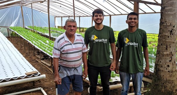 Iniciativas que promovem acesso ao conhecimento são celebradas em Dia da Educação