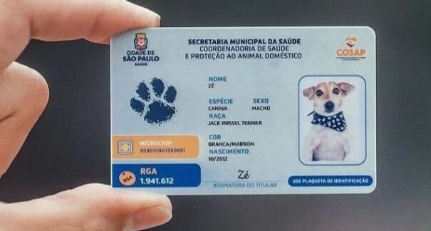 Entenda como emitir RG para pet no novo programa do Governo Federal