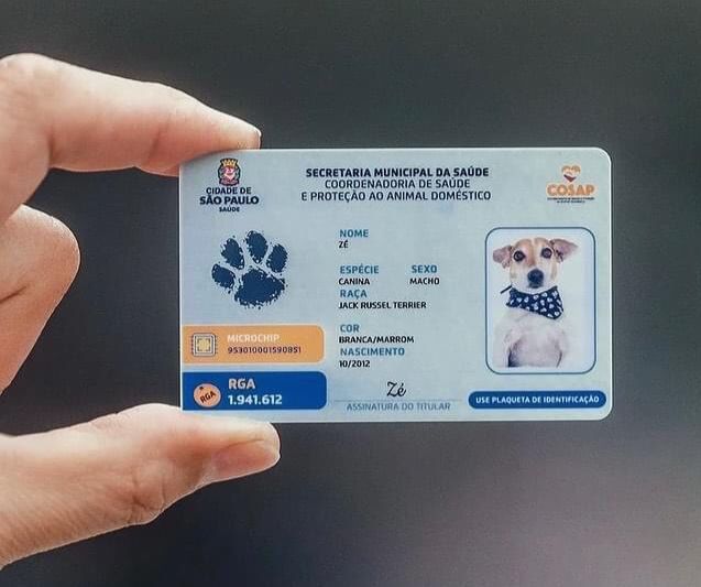 Entenda como emitir RG para pet no novo programa do Governo Federal