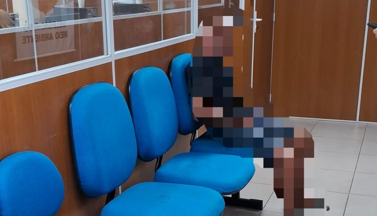 Homem é preso em São Luís após espancar cão com panela de pressão