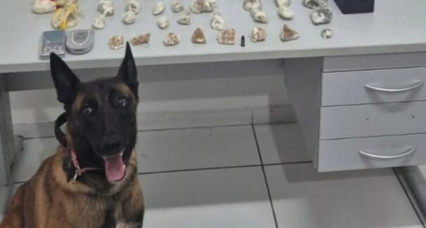 Mulher é presa em flagrante por tráfico de drogas em São Luís