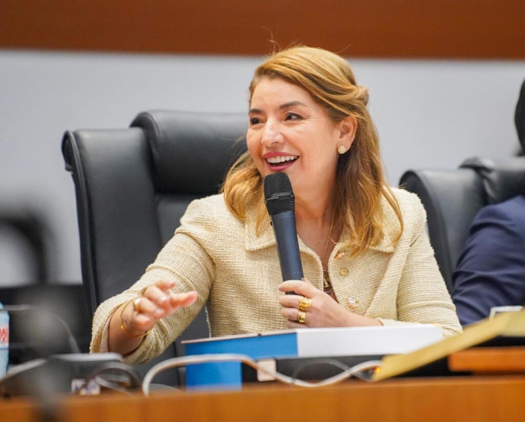 Deputada Iracema Vale (PSB), Presidente da Assembleia Legislativa do Maranhão. (Foto: Reprodução)