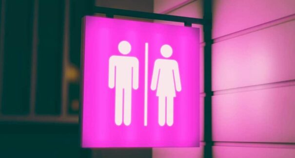 PL que proíbe mulheres trans de usar banheiros femininos em espaços públicos e privados é aprovado pela Câmara de São Luís