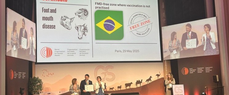 Brasil é certificado internacionalmente como zona livre de aftosa sem vacinação