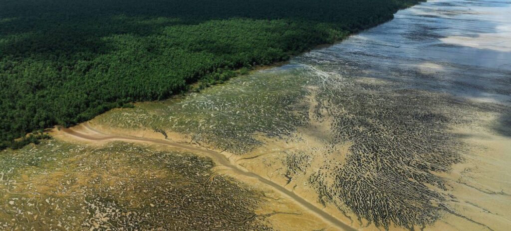 A novela da Margem Equatorial