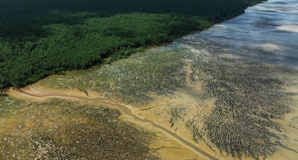 A novela da Margem Equatorial