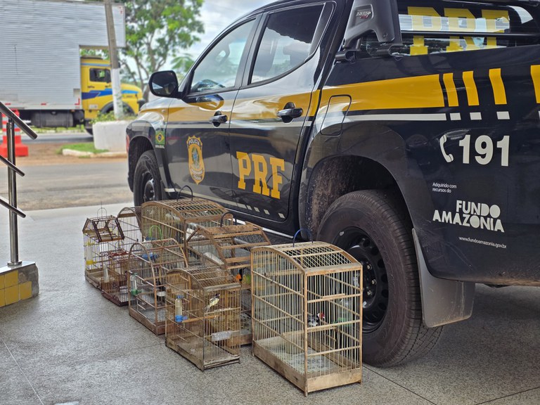 (Foto: Divulgação/PRF)