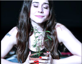 Alessandra Negrini dá voz a uma mulher em transformação, tal como uma árvore.