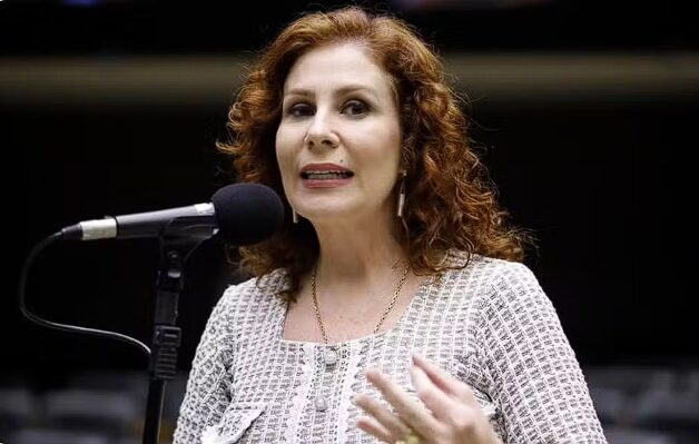 Por meio de nota, Zambelli destacou o seu “sentimento de inconformismo” e disse que o relator ignorou a ausência de provas nos autos.(Foto: Mário Agra/Câmara dos Deputados)