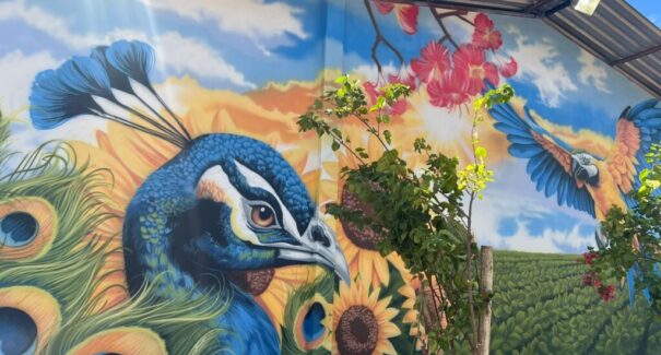21ª edição do Agrobalsas dedica espaço para intervenções artísticas ao vivo
