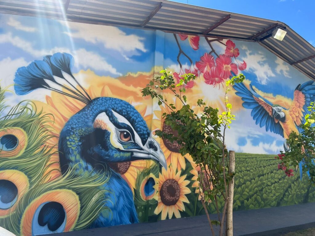 21ª edição do Agrobalsas dedica espaço para intervenções artísticas ao vivo
