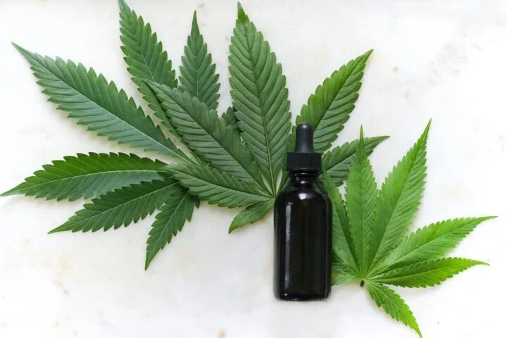 O uso recreativo da cannabis é legalizado no Canadá desde 2018. Foi a primeira grande economia do mundo a criar uma legislação desse tipo. - (crédito: Kimzy Nanney Unsplash)