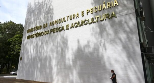 Sete casos de doenças respiratórias em aves são investigados no país