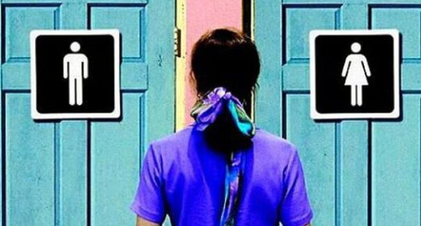 DPE/MA se posiciona contra PL que proíbe mulheres trans em banheiros femininos em São Luís