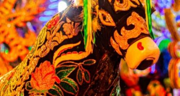 Boi de Santa Fé promove ritual de batismo nesta quinta (12)