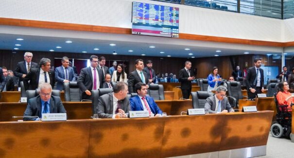 Alema aprova criação de delegacia especializada para proteção à criança e ao adolescente em Imperatriz