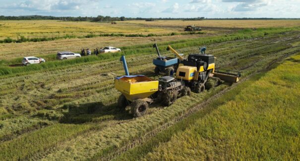 São Mateus do Maranhão bate recorde histórico na produção de arroz e abre o AgroSamas 2025 com presença de lideranças estaduais e regionais