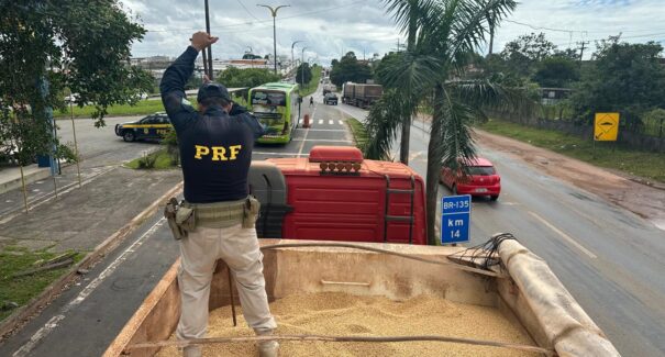Vinte e nove tabletes de cocaína são apreendidos escondidos em carga de soja na BR-135, em São Luís