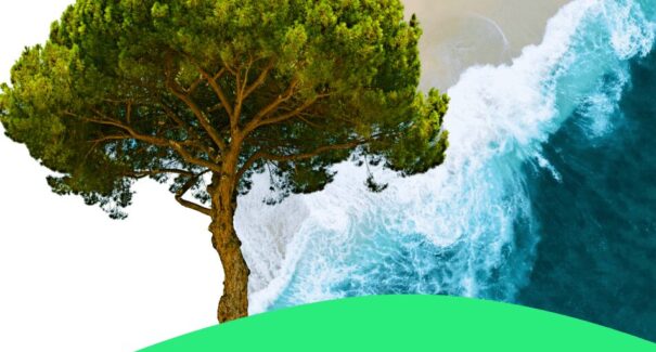 Nature Investment Lab ajudará 5 empresas brasileiras a captar US$ 73 milhões em investimentos em impacto socioambiental