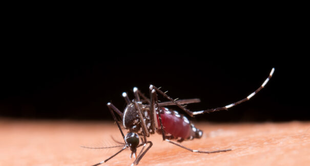 Estado registra 4,8 mil casos prováveis de dengue em 2025