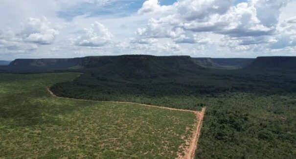 IPAM calcula risco climático de propriedades rurais, veja como participar 