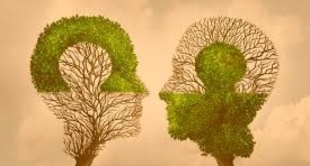 Conexão humana: questão de sobrevivência