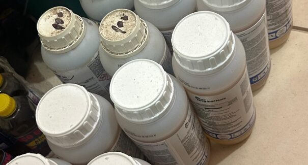 Aged fiscaliza estabelecimentos comerciais de agrotóxicos em oito municípios da região do Pindaré