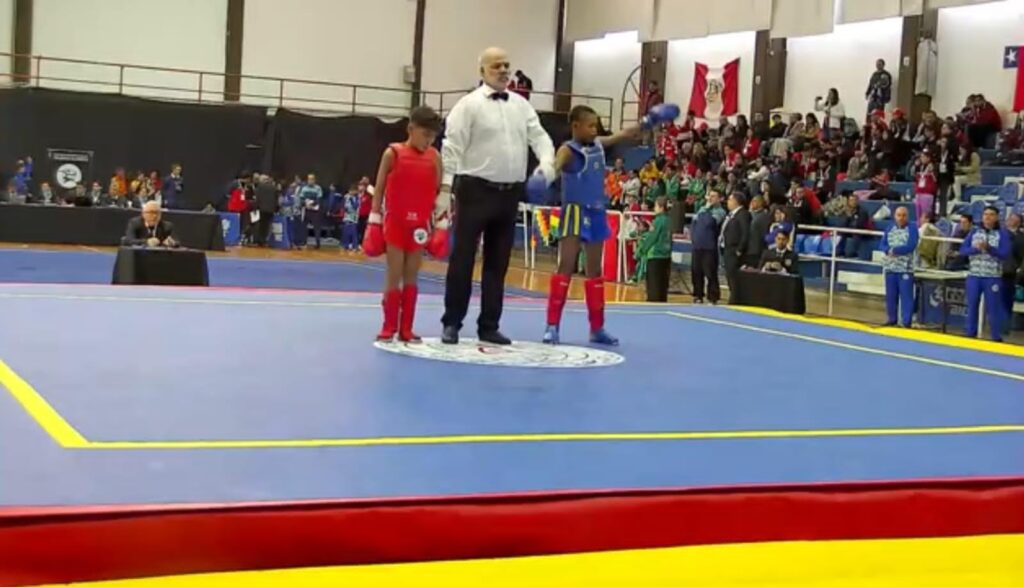 Aos 10 anos, maranhense conquista medalha de ouro no Sul-Americano de Kung Fu, na Argentina
