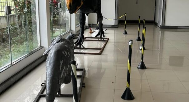 Dia da Ciência e do Pesquisador Científico será celebrado com exposições e observação astronômica na UFMA