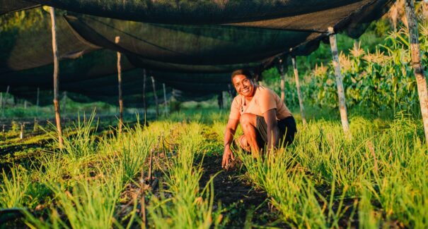 Dia da Agricultura Familiar é celebrado com várias atividades no Parque Ambiental do Itapiracó