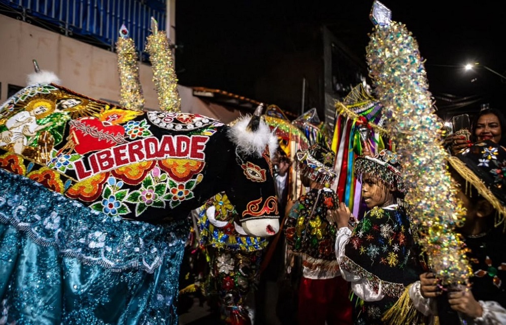 Boi de Leonardo (Foto: Divulgação)