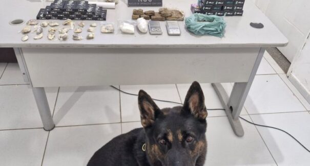 Polícia Civil cumpre três mandados de busca e apreensão na capital