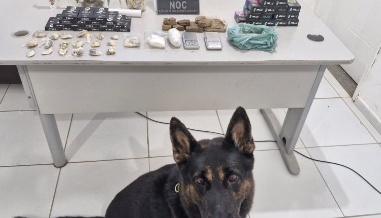 Foi possível identificar os locais que serviam como  base para as atividades ilícitas. (Foto: Divulgação)