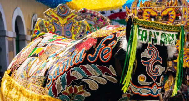Ritual de morte do Boi de Santa Fé será neste domingo (27)