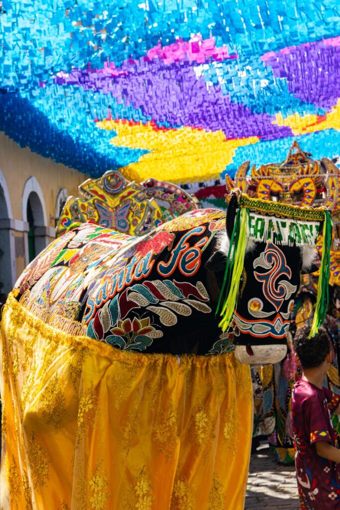Ritual de morte do Boi de Santa Fé será neste domingo (27)