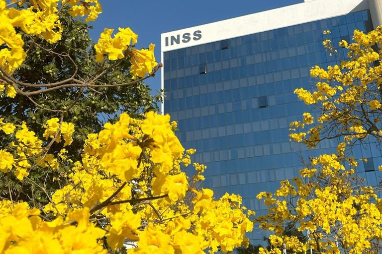 Fraudes do INSS (Foto: INSS/Divulgação)
