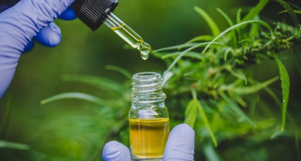 STJ adia mais uma vez prazo para regulamentação da cannabis medicinal no Brasil