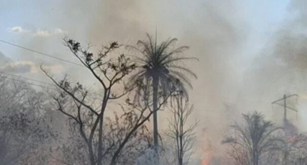 Maranhão é o 2º estado com mais focos de queimadas no país
