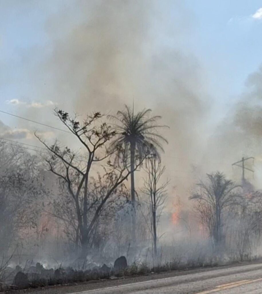 Até a segunda quinzena de agosto, já foram registrados 5.224 focos ativos (Foto: Reprodução)
