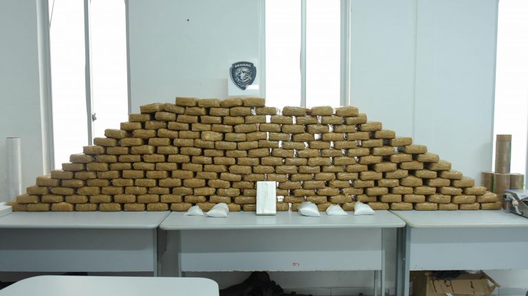 (Foto: Reprodução/SENARC)