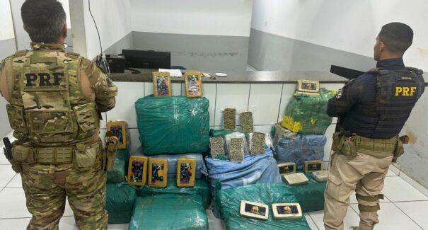 Mais de 360 kg de drogas são apreendidos em carga com destino a São Luís