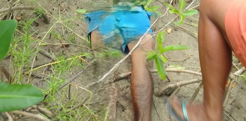 (Foto: Reprodução)