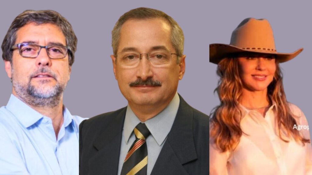 Agro Summit Maranhão 2025 vai debater desafios e oportunidades nacionais e internacionais