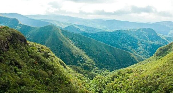 Projeto que altera Lei de Crimes Ambientais gera críticas de ambientalistas e setor privado