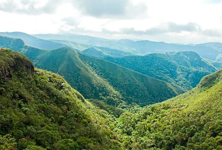 (crédito: Divulgação Ministério do Meio Ambiente)