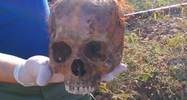 Crânio humano é encontrado na Vila Maranhão, em São Luís