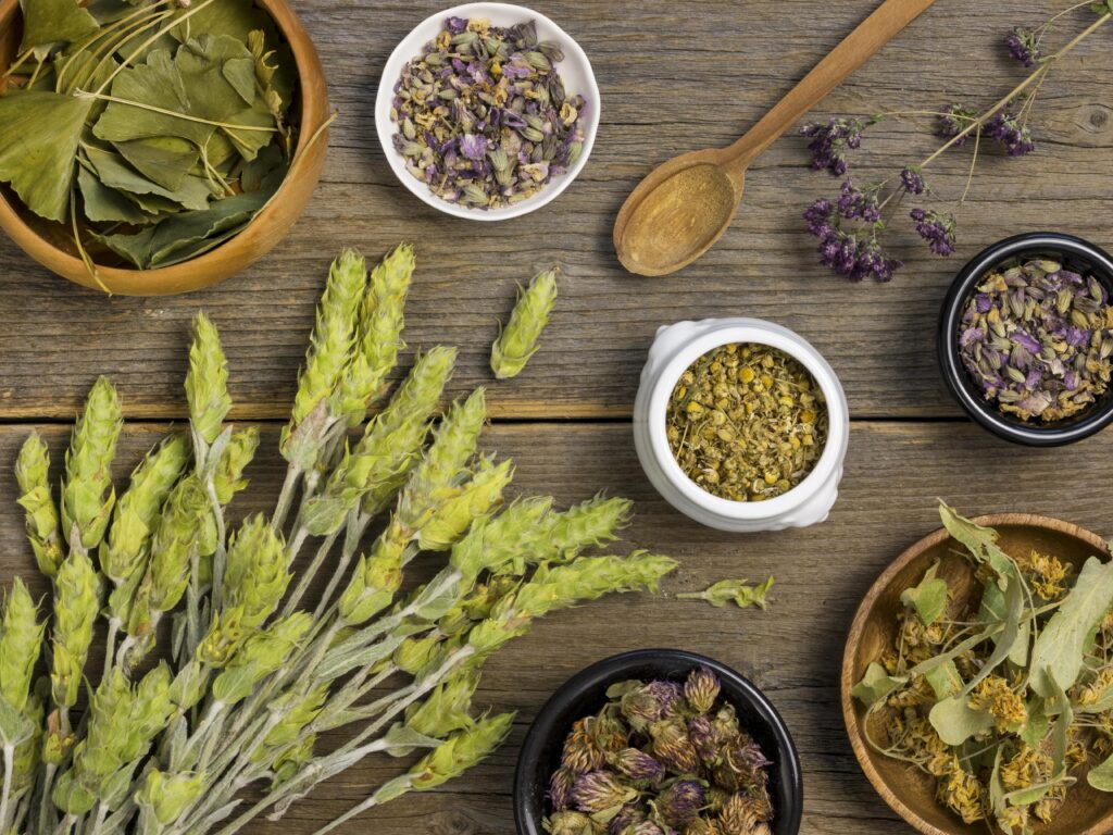 Especiarias e ervas medicinais naturais (Foto: Divulgação)